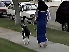 Klokkeren fra grimme dames xxx